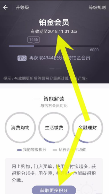 支付寶如何查看螞蟻會員積分?螞蟻會員積分查看步驟介紹