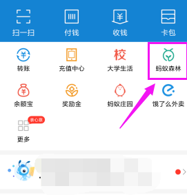 支付寶螞蟻森林怎么設置能量可收取提醒?設置能量可收取提醒方法分享