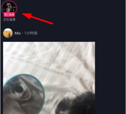 抖音怎么加入粉絲團?加入粉絲團方法說明