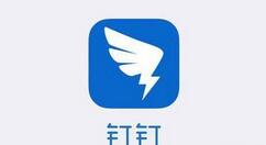 釘釘如何設(shè)置釘釘運動?設(shè)置釘釘運動的方法分享