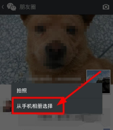 微信朋友圈如何轉(zhuǎn)發(fā)？朋友圈內(nèi)容轉(zhuǎn)發(fā)方法介紹
