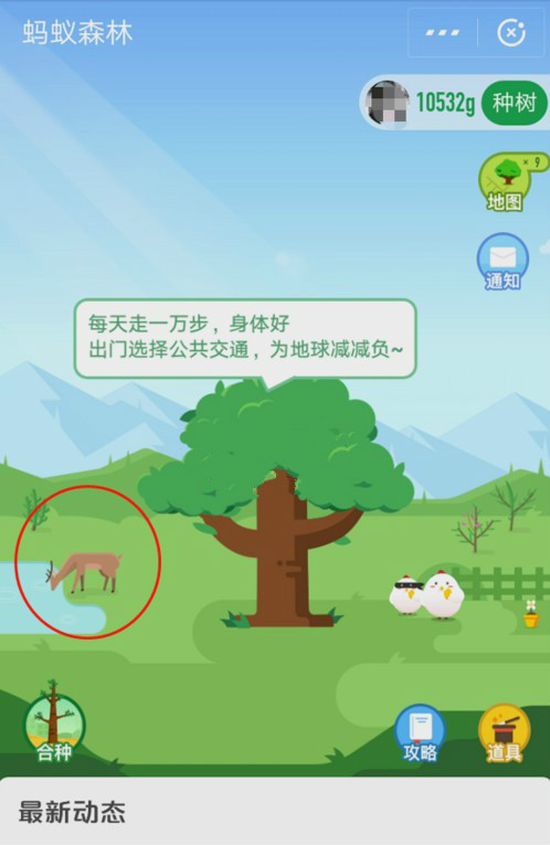 怎么在螞蟻森林首頁有小鹿？小鹿獲取攻略分享