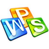 wps中方框內打勾詳細操作流程
