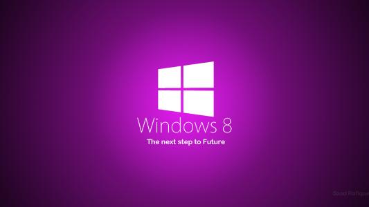 win8系統(tǒng)出現(xiàn)flash插件加載失敗具體解決方法