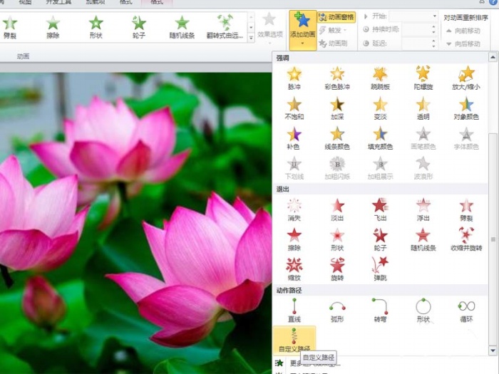 ppt制作出小荷才露尖尖角動(dòng)畫(huà)場(chǎng)景具體操作步驟