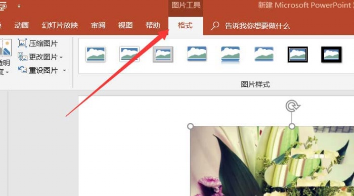 使用ppt制作出各種各樣圖形樣式具體操作步驟