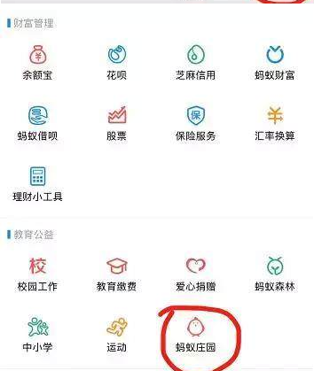 支付寶養(yǎng)雞的好處是什么？支付寶養(yǎng)雞在哪里養(yǎng)？