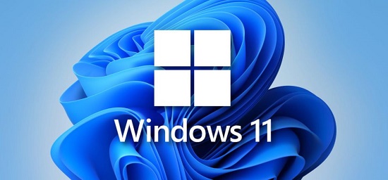 win11家庭版和專業(yè)版對(duì)比