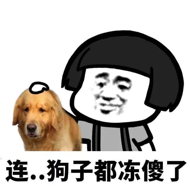 抖音我家床塌了停水了停電了表情包是什么？抖音我家床塌了表情包介紹！