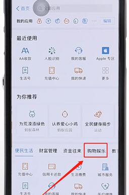 使用支付寶刷臉支付的詳細操作