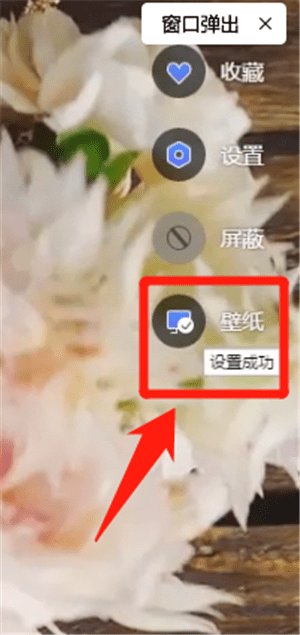 WPS畫報設(shè)置壁紙具體操作方法