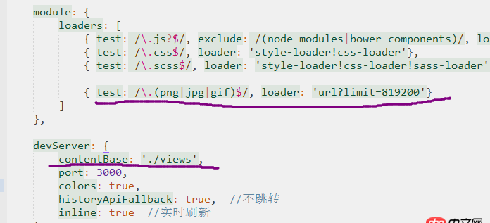 javascript - 請教大俠，webpack打包圖片的時候，頁面上顯示不出來，還有網站根目錄的疑問？
