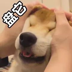 抖音我想盤(pán)他表情包有哪些 抖音我想盤(pán)他表情包介紹