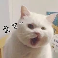 抖音我想盤(pán)他表情包有哪些 抖音我想盤(pán)他表情包介紹