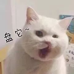 抖音我想盤(pán)他表情包有哪些 抖音我想盤(pán)他表情包介紹