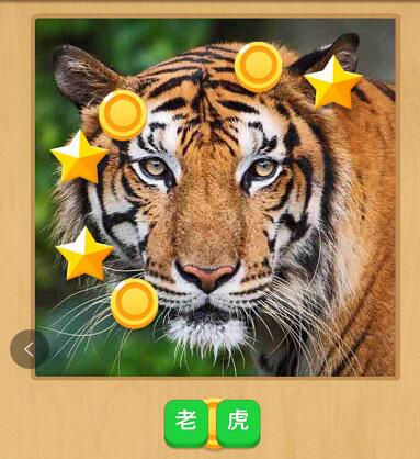微信小程序中猜猜圖小游戲正確答案是什么？微信小程序中猜猜圖小游戲正確答案一覽！