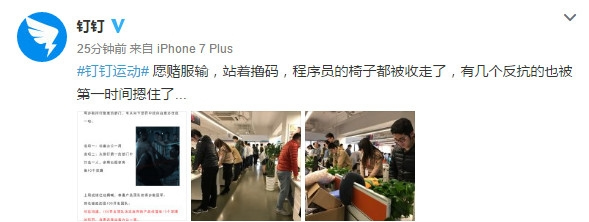 釘釘運動怎樣計步？ 釘釘運動怎么打開