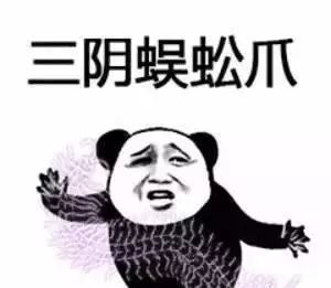 抖音武功秘籍表情包有哪些 抖音武功秘籍表情包介紹