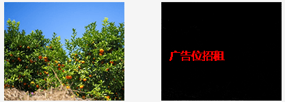 vue中使用帶隱藏文本信息的圖片、圖片水印的方法