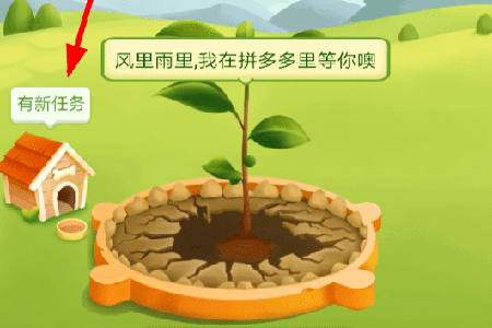 拼多多果園如何養(yǎng)狗？ 果園養(yǎng)狗方法攻略介紹！