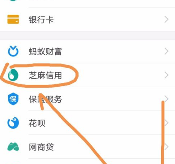 支付寶芝麻信用如何導入賬單？ 支付寶芝麻信用賬單導入方法是什么？