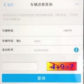 支付寶如何查看車輛違章信息?具體操作步驟