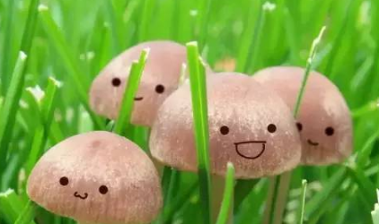 微信微粒貸怎么開通？小編教你玩轉(zhuǎn)微粒貸！