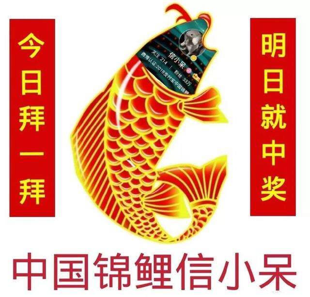 中國錦鯉2019年還有嗎？支付寶中國錦鯉2019年開獎(jiǎng)詳情
