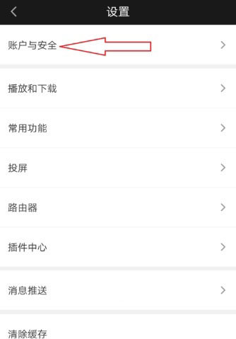 愛(ài)奇藝怎么查看登錄記錄_愛(ài)奇藝查看登錄記錄教程
