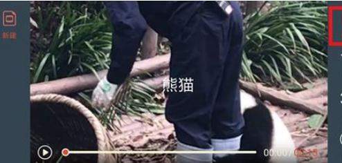 抖音歌詞mv怎么拍？添加歌詞方法推薦