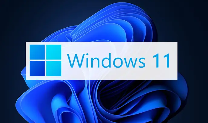 Windows11創建本地連接教程分享