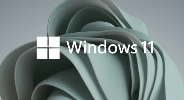 Windows11打開快速助手步驟介紹