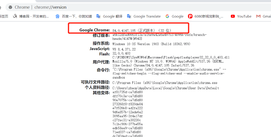 搭建 springboot selenium 網(wǎng)頁(yè)文件轉(zhuǎn)圖片環(huán)境的詳細(xì)教程