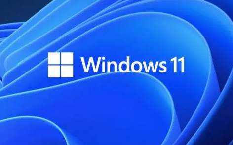 為什么Win11驅(qū)動加載失敗