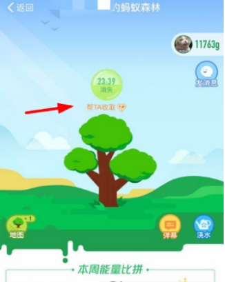支付寶螞蟻森林怎么給好友澆水？給好友澆水方法分享