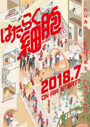 b站彈幕的B小將是怎么回事【B小將是什么梗出處內(nèi)涵】