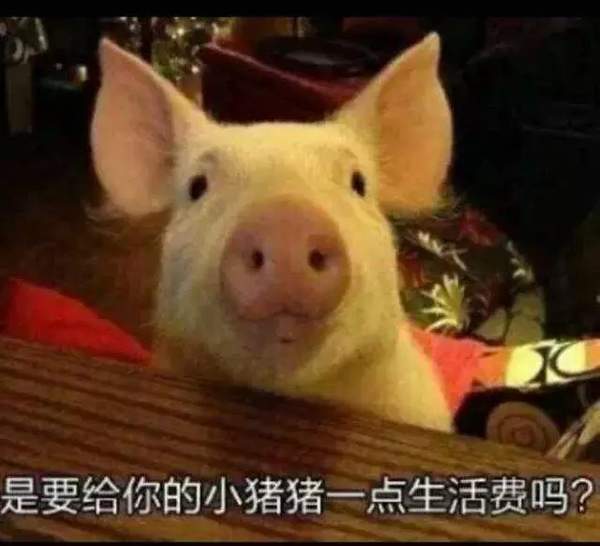【抖音請(qǐng)選擇扶貧方式表情包】高清無(wú)水印圖片分享