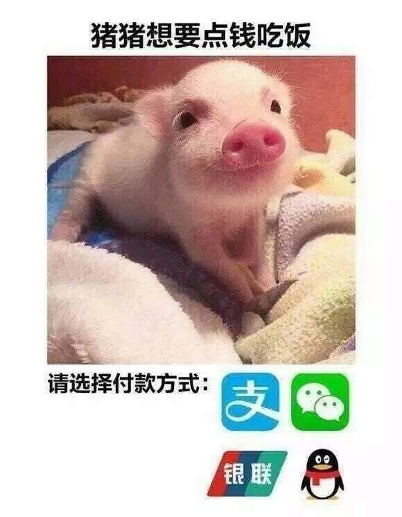 【抖音請(qǐng)選擇扶貧方式表情包】高清無(wú)水印圖片分享