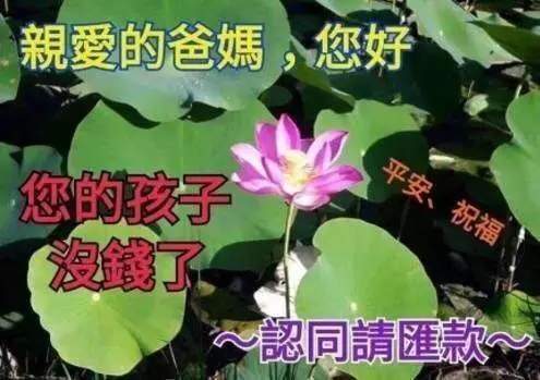 【抖音請(qǐng)選擇扶貧方式表情包】高清無(wú)水印圖片分享