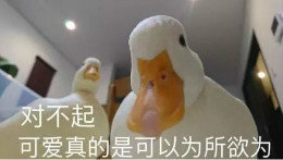 【抖音網紅比心鴨子表情包】比心鴨子高清無水印圖片分享