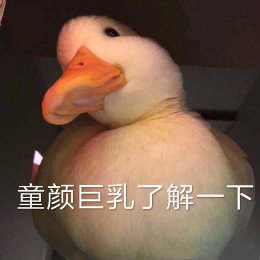 【抖音網紅比心鴨子表情包】比心鴨子高清無水印圖片分享