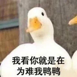 【抖音網紅比心鴨子表情包】比心鴨子高清無水印圖片分享