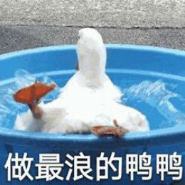 【抖音網紅比心鴨子表情包】比心鴨子高清無水印圖片分享