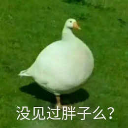 【抖音網紅比心鴨子表情包】比心鴨子高清無水印圖片分享