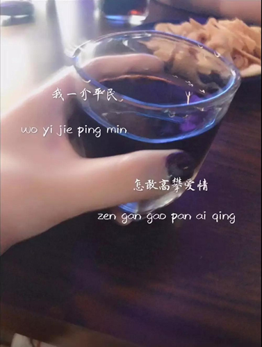 抖音我一介平民怎敢高攀愛情圖片分享 高清無水印