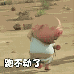 微信小豬跑步動態圖哪里找 一直在奔跑的小豬GIF圖分享
