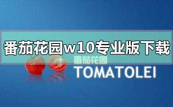 番茄花園win10專業版在哪下載