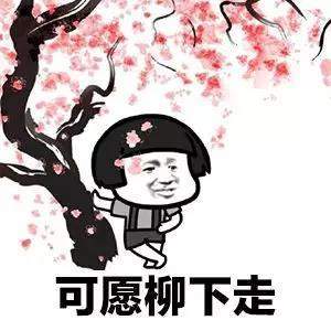我的將軍啊表情包【抖音狼煙風(fēng)沙口GIF表情包分享】