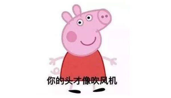 抖音小豬佩奇吹風機 吹風機社會豬為什么火