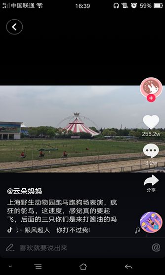 抖音騎鴕鳥賽跑背景音樂是什么？抖音哈哈哈哈你打不過我吧歌曲介紹